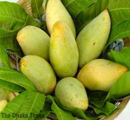 Fruits 6